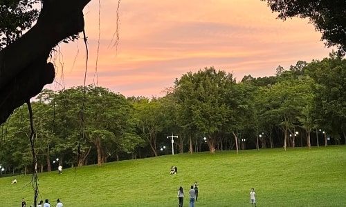 Lianhuashan Park-Shenzhen